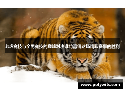 老虎竞技与全男竞技的巅峰对决谁将赢得这场精彩赛事的胜利