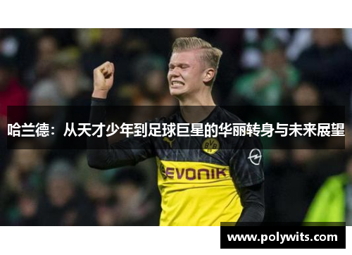 哈兰德：从天才少年到足球巨星的华丽转身与未来展望